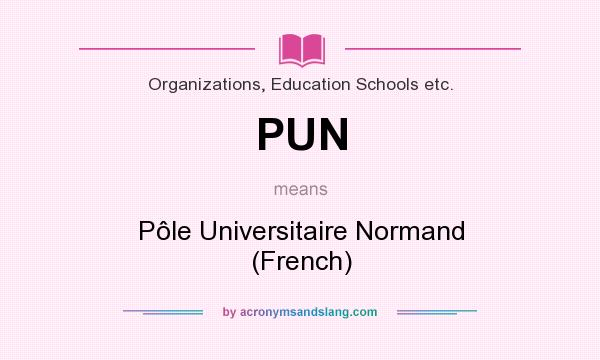 What does PUN mean? It stands for Pôle Universitaire Normand (French)