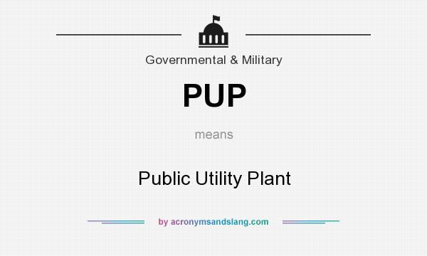 What does PUP mean? It stands for Public Utility Plant