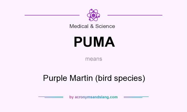 What does PUMA mean? It stands for Purple Martin (bird species)
