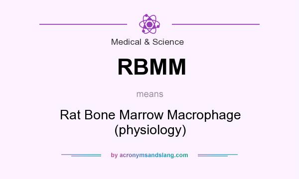 What does RBMM mean? It stands for Rat Bone Marrow Macrophage (physiology)