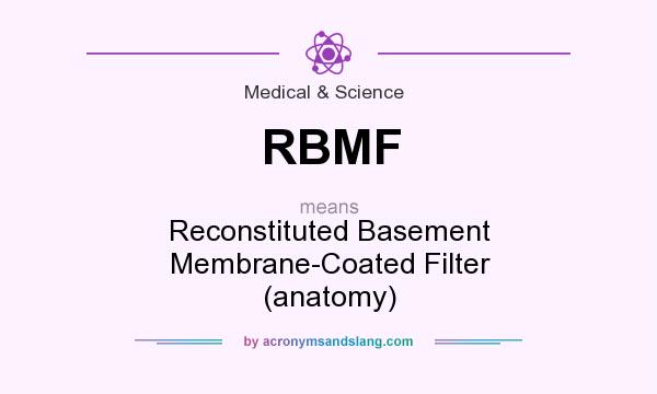 What does RBMF mean? It stands for Reconstituted Basement Membrane-Coated Filter (anatomy)