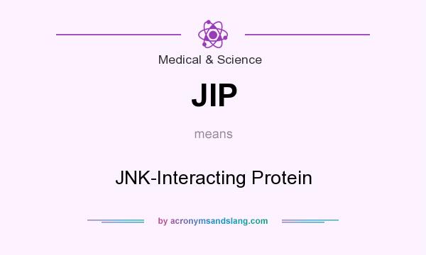 What does JIP mean? It stands for JNK-Interacting Protein
