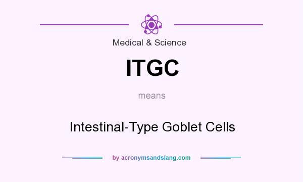 What does ITGC mean? It stands for Intestinal-Type Goblet Cells