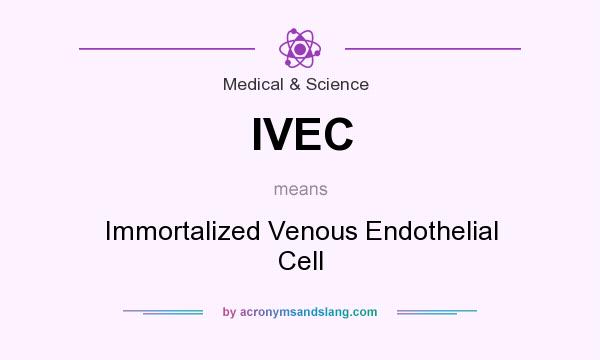 What does IVEC mean? It stands for Immortalized Venous Endothelial Cell