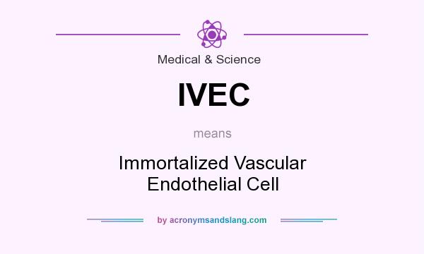 What does IVEC mean? It stands for Immortalized Vascular Endothelial Cell