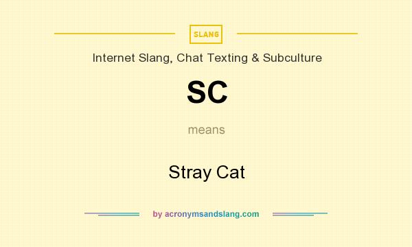 What does SC mean? It stands for Stray Cat