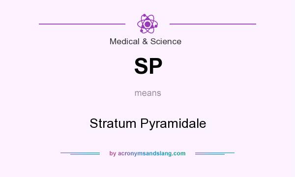 What does SP mean? It stands for Stratum Pyramidale