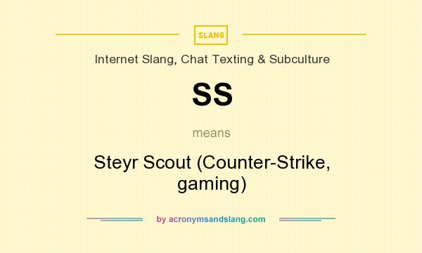 What does SS mean? It stands for Steyr Scout (Counter-Strike, gaming)