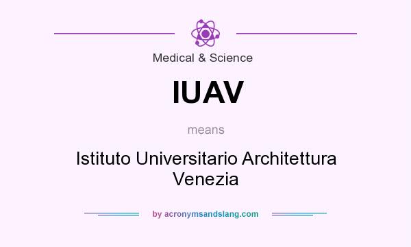 What does IUAV mean? It stands for Istituto Universitario Architettura Venezia