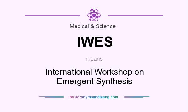 What does IWES mean? It stands for International Workshop on Emergent Synthesis