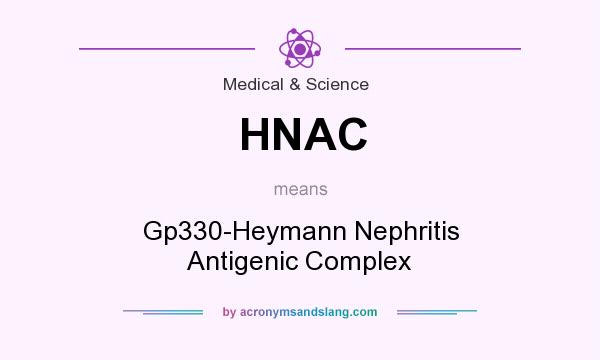 What does HNAC mean? It stands for Gp330-Heymann Nephritis Antigenic Complex