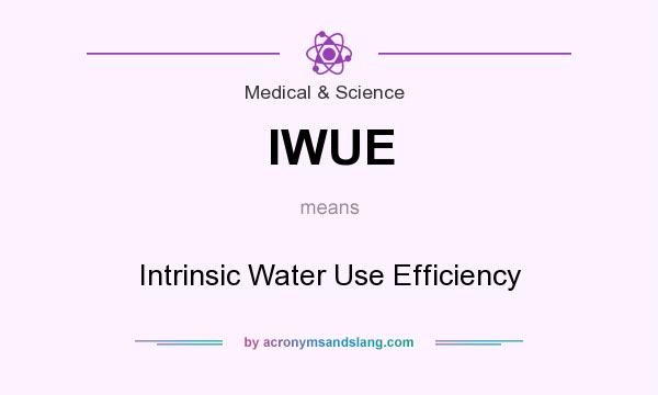 What does IWUE mean? It stands for Intrinsic Water Use Efficiency