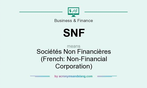 What does SNF mean? It stands for Sociétés Non Financières (French: Non-Financial Corporation)