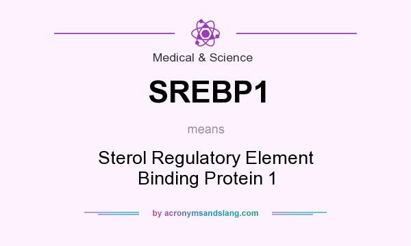 What does SREBP1 mean? It stands for Sterol Regulatory Element Binding Protein 1