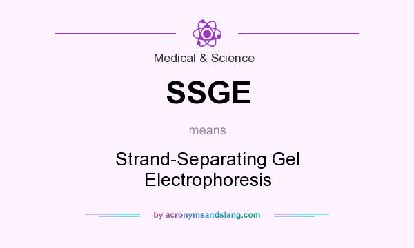 What does SSGE mean? It stands for Strand-Separating Gel Electrophoresis