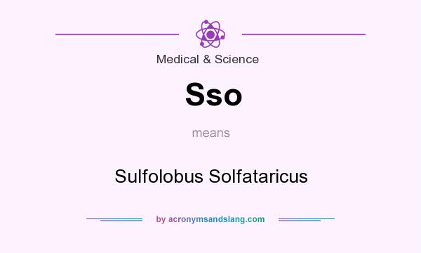 What does Sso mean? It stands for Sulfolobus Solfataricus