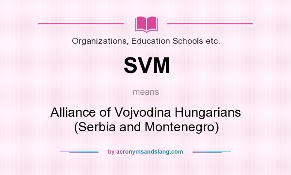 What does SVM mean? It stands for Alliance of Vojvodina Hungarians (Serbia and Montenegro)
