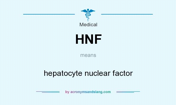What does HNF mean? It stands for hepatocyte nuclear factor