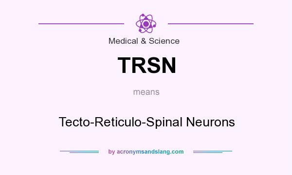 What does TRSN mean? It stands for Tecto-Reticulo-Spinal Neurons