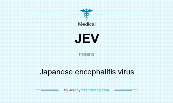 What does JEV mean? It stands for Japanese encephalitis virus