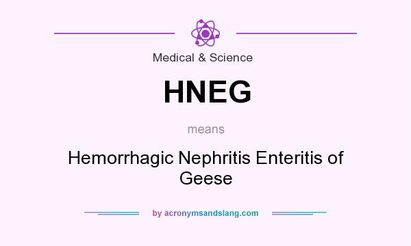 What does HNEG mean? It stands for Hemorrhagic Nephritis Enteritis of Geese