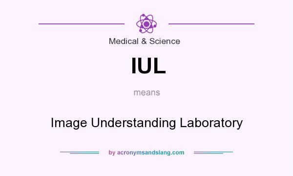 What does IUL mean? It stands for Image Understanding Laboratory