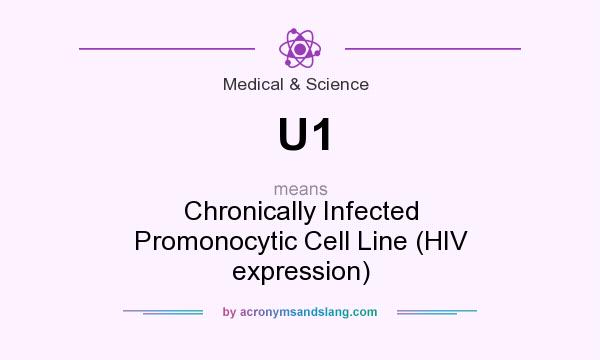 What does U1 mean? It stands for Chronically Infected Promonocytic Cell Line (HIV expression)