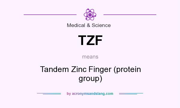 What does TZF mean? It stands for Tandem Zinc Finger (protein group)