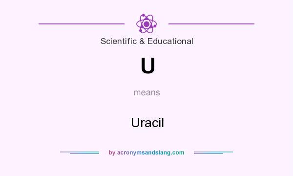 What does U mean? It stands for Uracil
