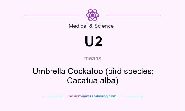 What does U2 mean? It stands for Umbrella Cockatoo (bird species; Cacatua alba)