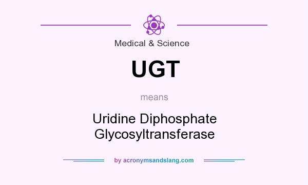 What does UGT mean? It stands for Uridine Diphosphate Glycosyltransferase