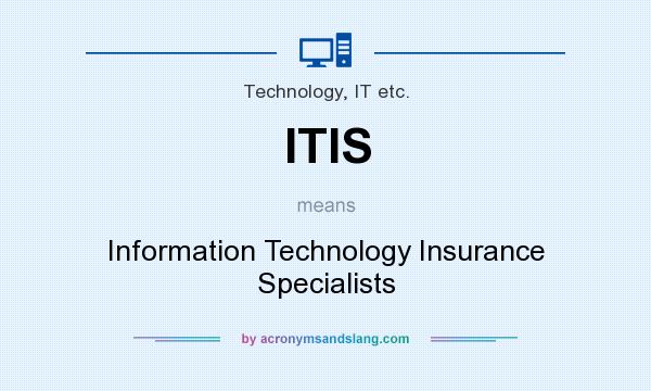 What does ITIS mean? It stands for Information Technology Insurance Specialists