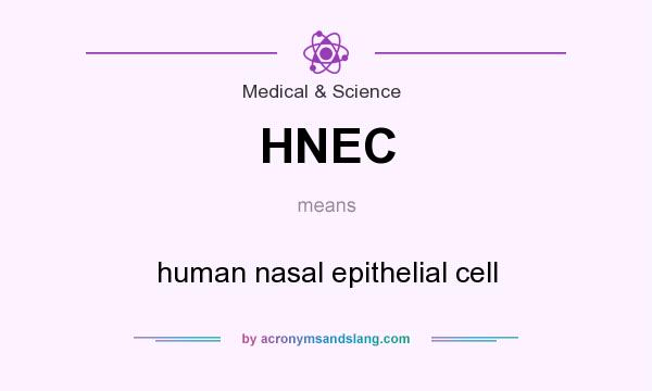 What does HNEC mean? It stands for human nasal epithelial cell