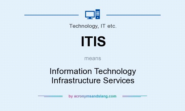 What does ITIS mean? It stands for Information Technology Infrastructure Services