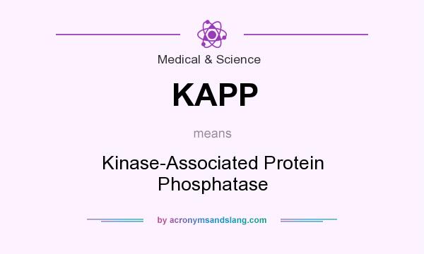 What does KAPP mean? It stands for Kinase-Associated Protein Phosphatase