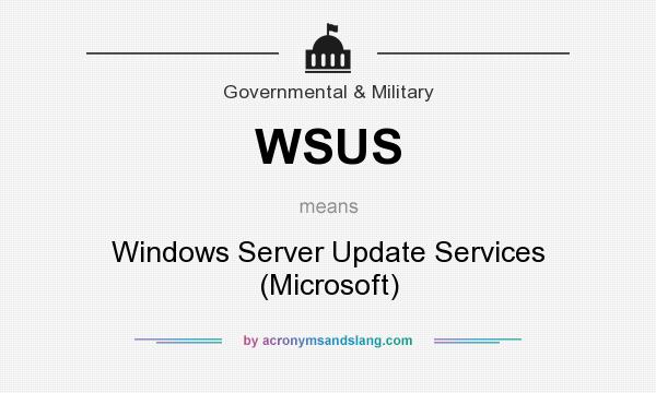 What does WSUS mean? It stands for Windows Server Update Services (Microsoft)