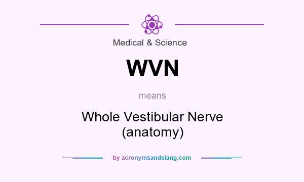 What does WVN mean? It stands for Whole Vestibular Nerve (anatomy)