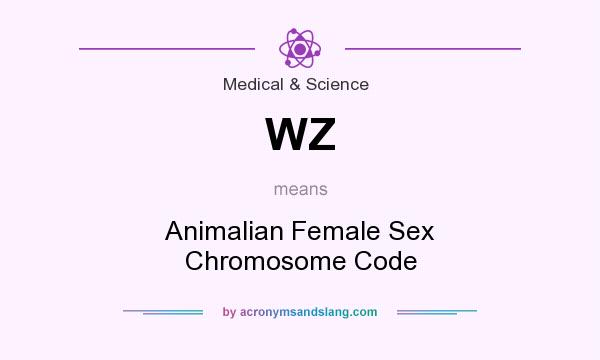 What does WZ mean? It stands for Animalian Female Sex Chromosome Code
