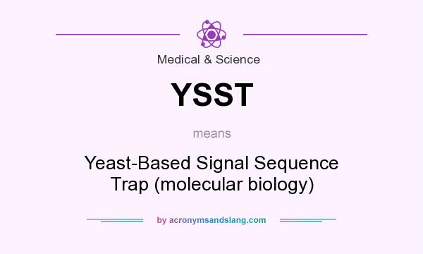 What does YSST mean? It stands for Yeast-Based Signal Sequence Trap (molecular biology)