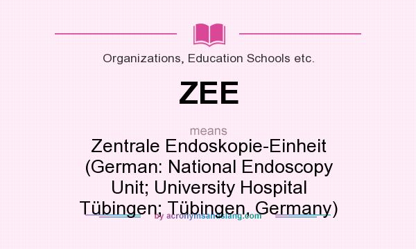 What does ZEE mean? It stands for Zentrale Endoskopie-Einheit (German: National Endoscopy Unit; University Hospital Tübingen; Tübingen, Germany)