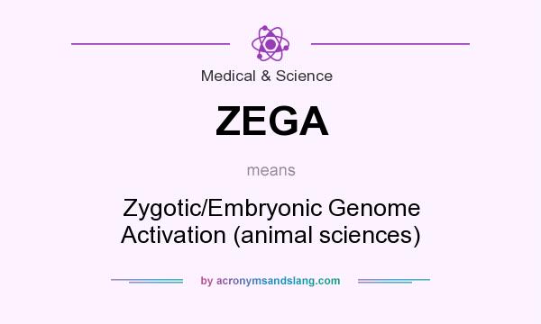 What does ZEGA mean? It stands for Zygotic/Embryonic Genome Activation (animal sciences)