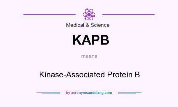 What does KAPB mean? It stands for Kinase-Associated Protein B
