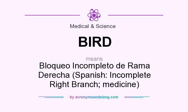 What does BIRD mean? It stands for Bloqueo Incompleto de Rama Derecha (Spanish: Incomplete Right Branch; medicine)