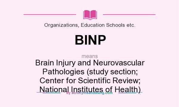 What does BINP mean? It stands for Brain Injury and Neurovascular Pathologies (study section; Center for Scientific Review; National Institutes of Health)