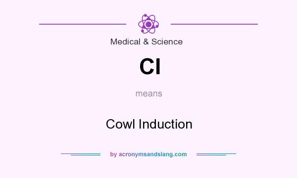 What does CI mean? It stands for Cowl Induction