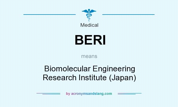 What does BERI mean? It stands for Biomolecular Engineering Research Institute (Japan)