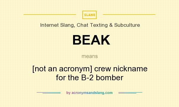 What does BEAK mean? It stands for [not an acronym] crew nickname for the B-2 bomber