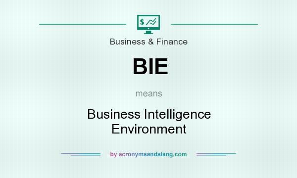 What does BIE mean? It stands for Business Intelligence Environment