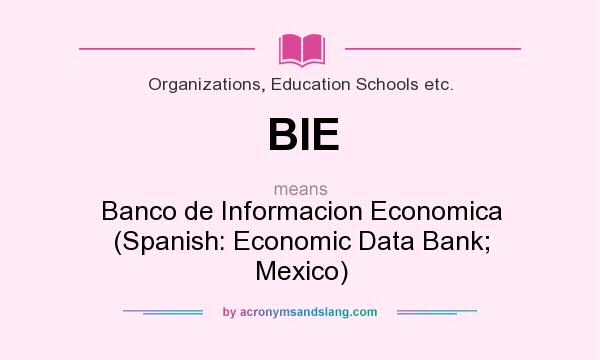 What does BIE mean? It stands for Banco de Informacion Economica (Spanish: Economic Data Bank; Mexico)