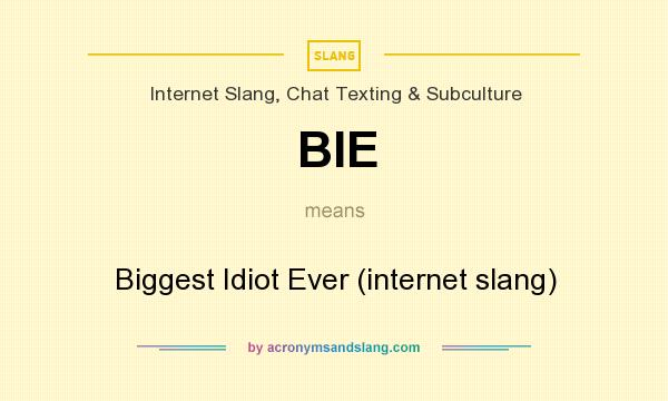 What does BIE mean? It stands for Biggest Idiot Ever (internet slang)